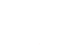 Wordpress Conversion